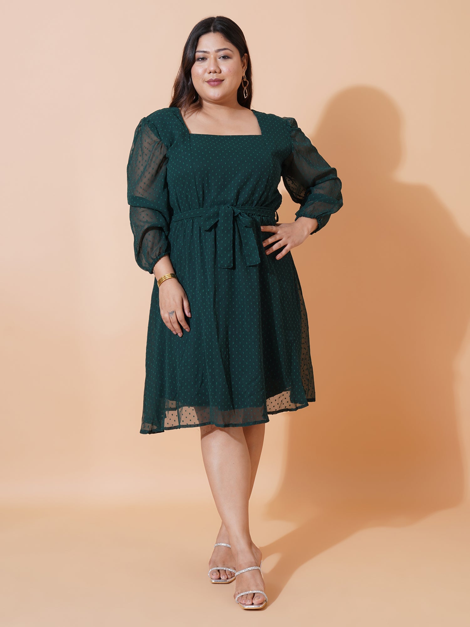 Women Plus Size Puff Sleeves Fit & Flare Dress